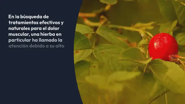 'Video thumbnail for Hierba repleta de vitamina C que combate dolores musculares mejor que algunas pastillas'