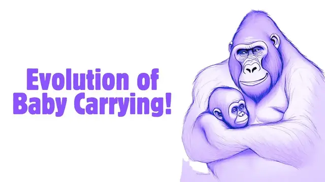 'Video thumbnail for The Fascinating Evolution of Baby Carrying'