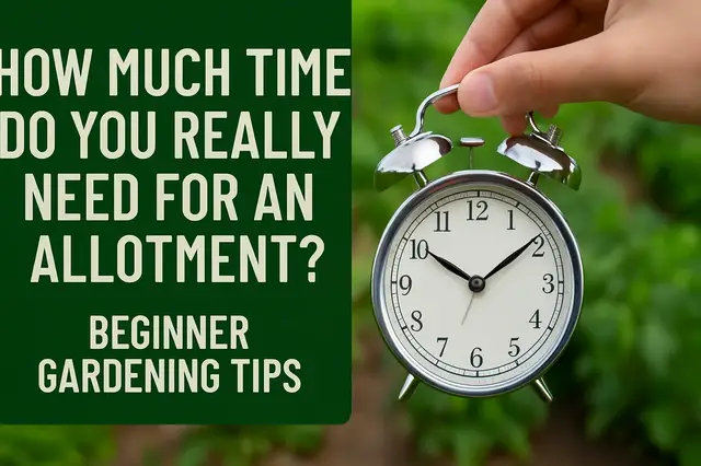 'Video thumbnail for How Much Time Do You Really Need for an Allotment? | Beginner Gardening Tips'