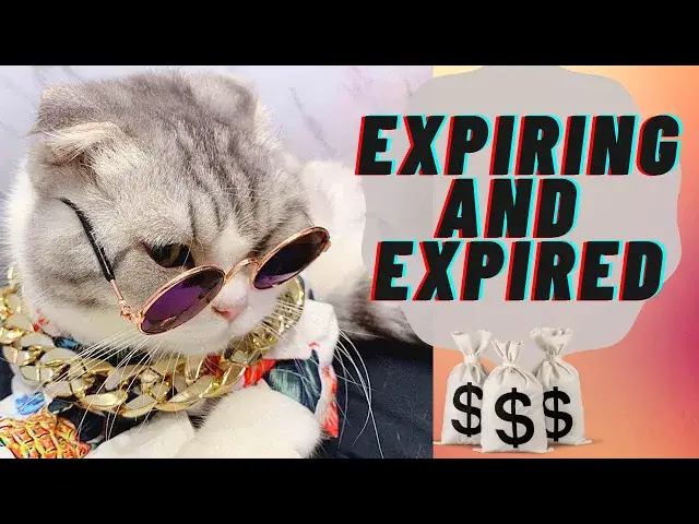 'Video thumbnail for Expiring and Expired Sweepstakes | Never Miss A Sweep!'