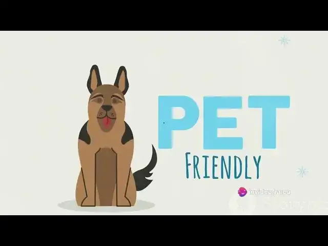 'Video thumbnail for invideo ai 1080 The Ultimate German Shepherd Diet Guide 2024 04 25'