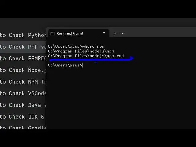 'Video thumbnail for How to Check NPM Installed version & location in Terminal'