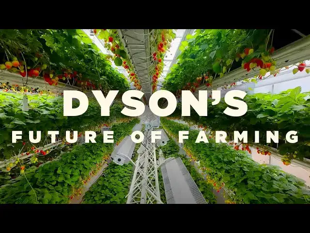 'Video thumbnail for Dyson's Futuristic Strawberry Farm'