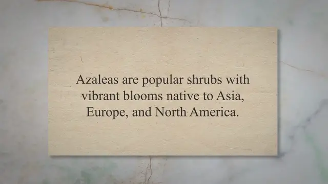 'Video thumbnail for Do Rabbits Eat Azaleas? Step-By-Step Guide'