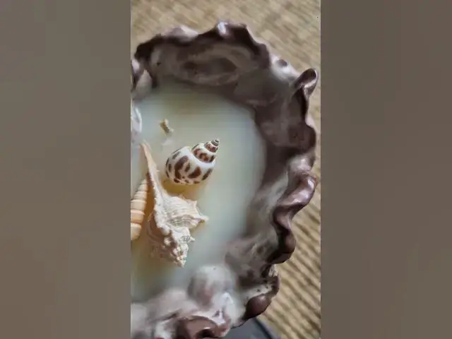 'Video thumbnail for Summer vibezzzz 鉀憋笍 #weecandles #candles #handmade #follow'
