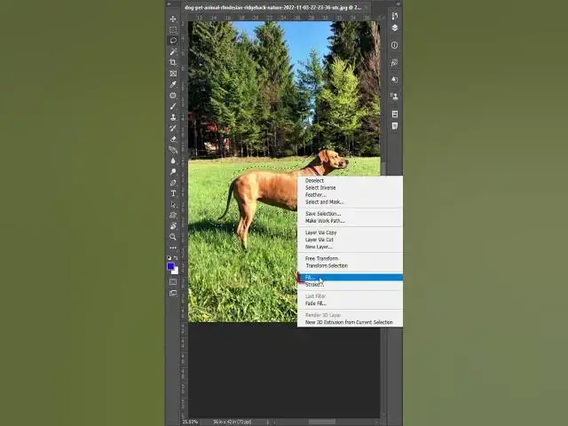 'Video thumbnail for Remove Any Object or Subject in Photoshop #photoshoptipsandtricks  #photoshop_tutorial l'