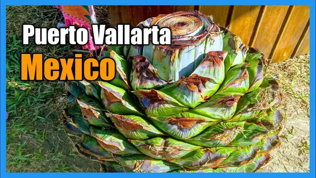 'Video thumbnail for Puerto Vallarta Mexico Mexican Riviera Ruby Princess Cruise Travel Vlog'