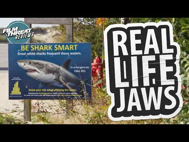 'Video thumbnail for GREAT WHITE SUMMER | Film Threat Reviews'