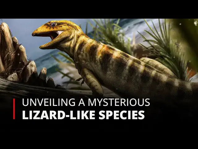 'Video thumbnail for Ancient Aussie Find Unveiling a Mysterious Lizard-Like Species | 12am News'