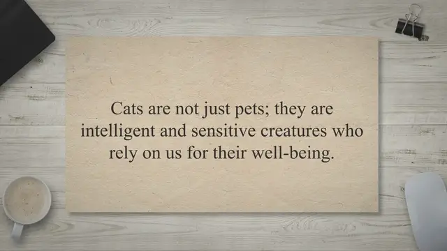 'Video thumbnail for The Heavenly Hierarchy: Unveiling the Power of Our Actions Towards Cats'