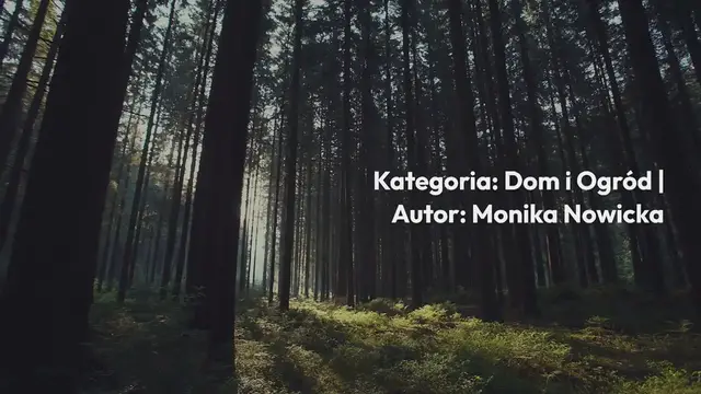 'Video thumbnail for Metody pomiaru właściwości wody – popularne narzędzia do analiz'