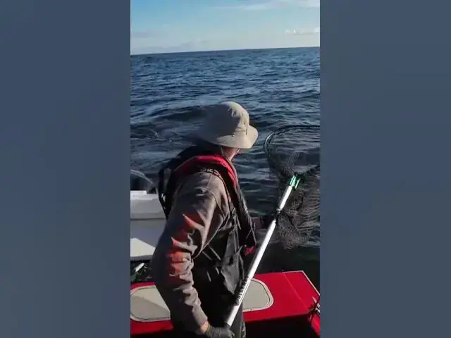 'Video thumbnail for Westport, WA where you can catch a chinook on your first drop while your gear is down for 2 seconds!'