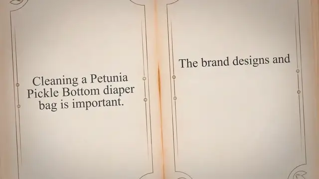 'Video thumbnail for How To Clean A Petunia Pickle Bottom Diaper Bag (6 Easy Steps)'