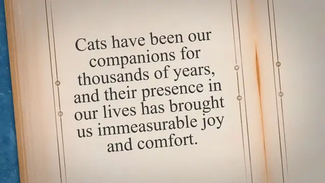 'Video thumbnail for Feline Friendship: The Unbreakable Bond Between a Cat and Human'