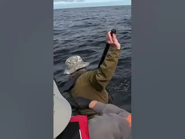 'Video thumbnail for Westport double chinook! Sometimes  it’s better to leave that shotgun rod holstered!!! 🤣'