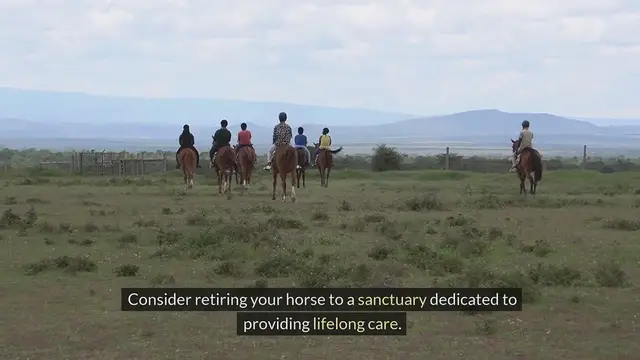 'Video thumbnail for What To Do With An Old Horse?'