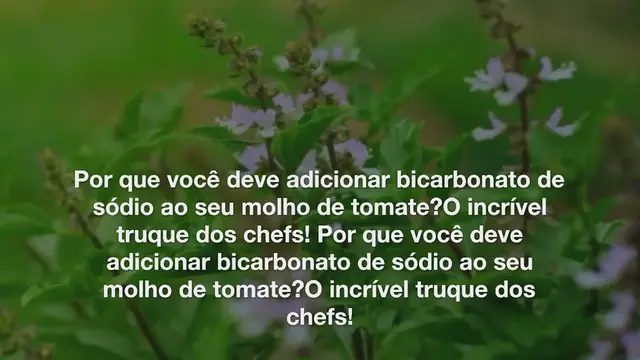 'Video thumbnail for Por que você deve adicionar bicarbonato de sódio ao seu molho de tomate? O incrível truque dos chefs!'