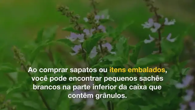 'Video thumbnail for Pare de jogar fora os sachês de sílica gel: eles podem economizar muito dinheiro'