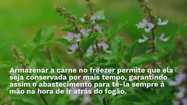 'Video thumbnail for Veja como descongelar carne em 10 minutos sem usar o micro-ondas'