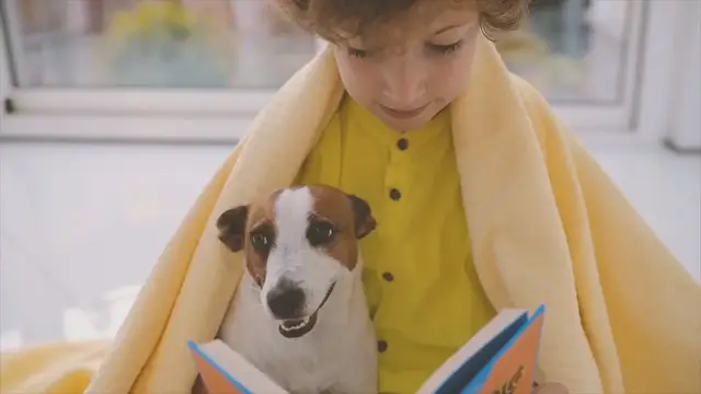 'Video thumbnail for Top 10 Dog Breeds Perfect for Kids!'