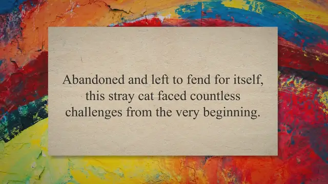 'Video thumbnail for From Stray to Home: A Cat's Journey of Survival, Loneliness, and Hope'