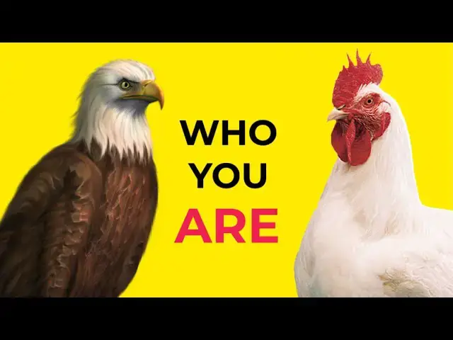 'Video thumbnail for UNLEASH Your Full Potential And Achieving More (INSPIRING STORY)'