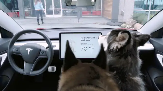 'Video thumbnail for Come funziona il Dog Mode su Tesla '