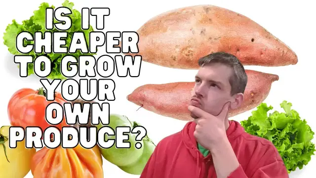 'Video thumbnail for Is it Cheaper to Grow Your Own Produce? 3 Cases'