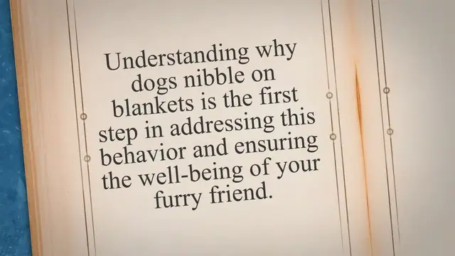 'Video thumbnail for Why Do Dogs Nibble on Blankets? Experts Reveal the Reasons and How to Address It'
