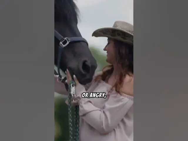 'Video thumbnail for How Do Animals Perceive and React to Human Emotions #shorts'