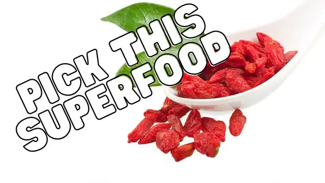 'Video thumbnail for How to Pick Goji Berries'