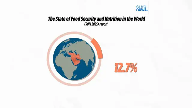 'Video thumbnail for Dramatic hunger surge strikes the Middle East and Africa, UN survey shows'