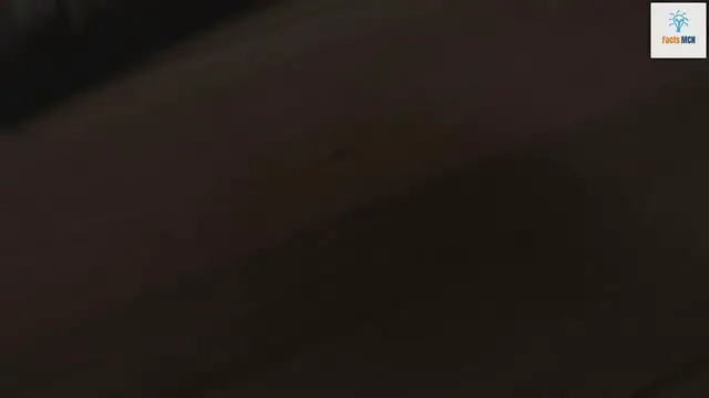 'Video thumbnail for Easy Chocolate Dessert Recipe: Mix Chocolate with Boiling Milk'