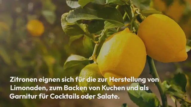 'Video thumbnail for Zitronen lagern: So lange sind Zitronen haltbar (wenn du diese einfachen Tricks kennst)'