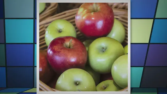 'Video thumbnail for History of Cortland Apples'