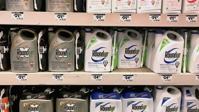 'Video thumbnail for Bayer could stop making world's most popular pesticide over cancer concerns'