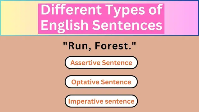'Video thumbnail for English Grammar Practice || Different Types of English Sentences || English Grammar Test'