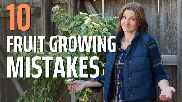 'Video thumbnail for 10 Beginner Fruit Growing Mistakes to Avoid'
