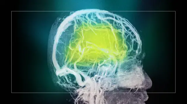 'Video thumbnail for The incredible powers of transcendental thinking, explained by a neuroscientist'
