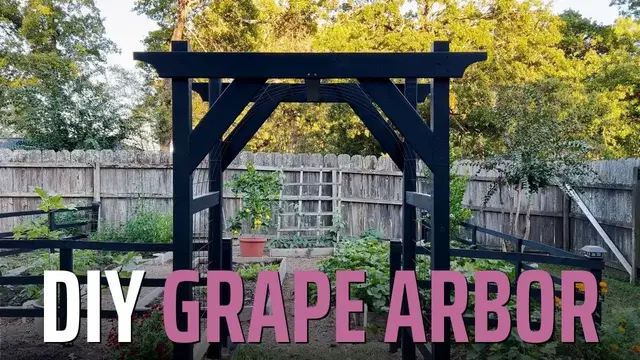 'Video thumbnail for DIY Grape Arbor Archway that's ACTUALLY Easy and Inexpensive'