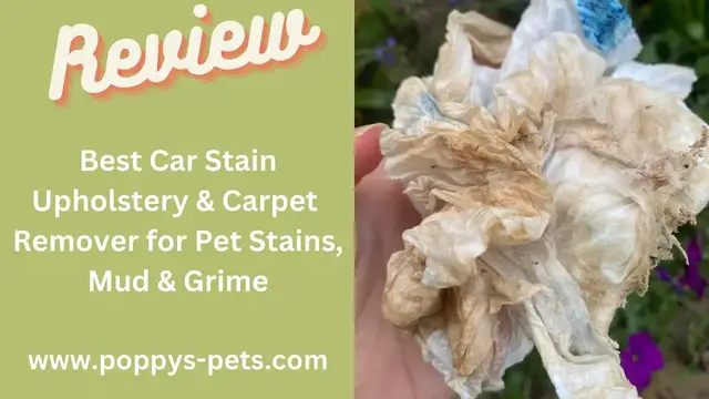 'Video thumbnail for Car Cleaning Using a Professional Product: Car Interior Carpet & Upholstery -Quick, Easy & Effective'