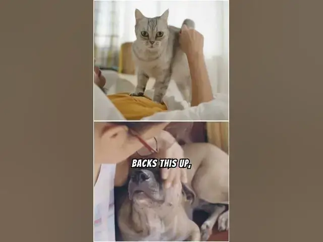 'Video thumbnail for Do Animals Have Unique Personalities? #shorts'