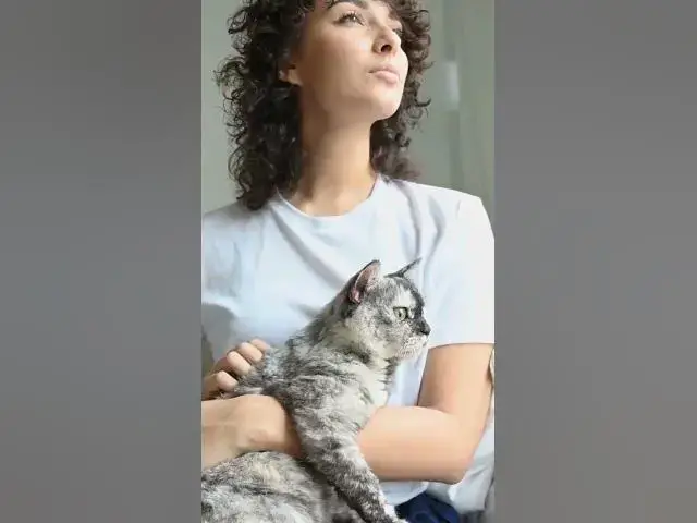 'Video thumbnail for Do Animals Trust Humans? #shorts'