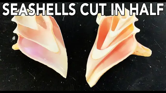 'Video thumbnail for DIY Seashell Crafts: Waterjet Cutting Techniques'