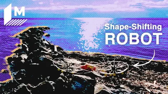 'Video thumbnail for Inspired by nature, this robot morphs to overcome almost any obstacle'