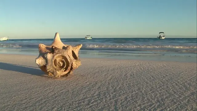'Video thumbnail for Visit Sian Kaan, a beach getaway for eco friendly tourist in Mexico’s Caribbean coast'