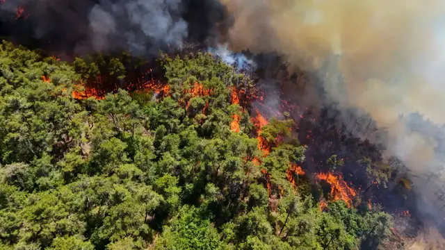 'Video thumbnail for Catastrophic wildfires destroy 10,000 hectares of forest in Syria's Latakia'