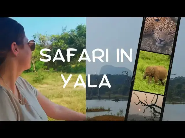 'Video thumbnail for Wildlife Safari in Yala National Park | From Biology Degree to Living My Dream Life in Sri Lanka'