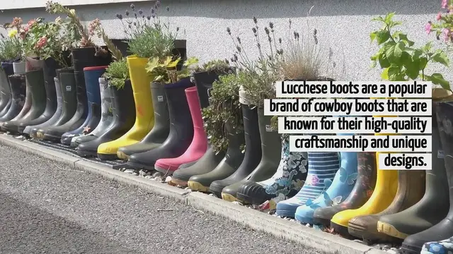 'Video thumbnail for How To Say Lucchese Boots'
