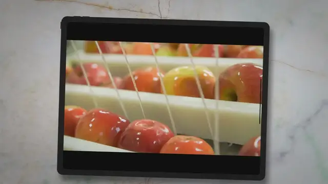 'Video thumbnail for The Baldwin Apple: A Guide to the History, Characteristics, and Uses of This Classic American Apple Variety'